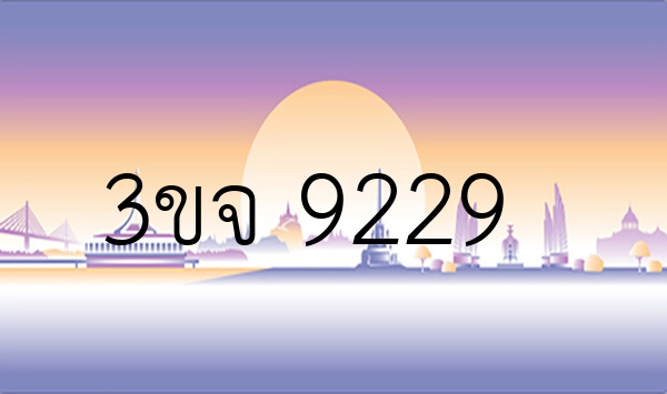 3ขจ 9229